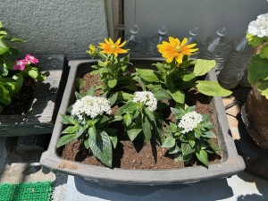 花４