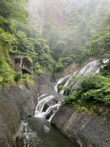 image5